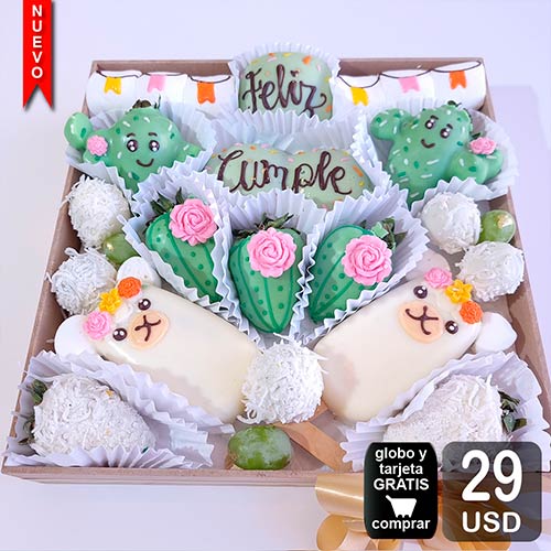 arreglo frutal big cactus